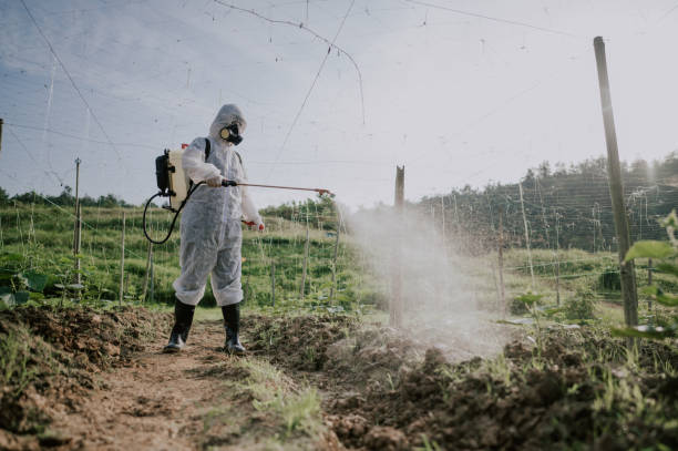 Best Best Pest Control Companies  in Churubusco, IN
