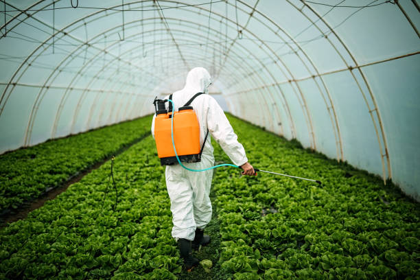 Best Affordable Pest Control Services  in Churubusco, IN