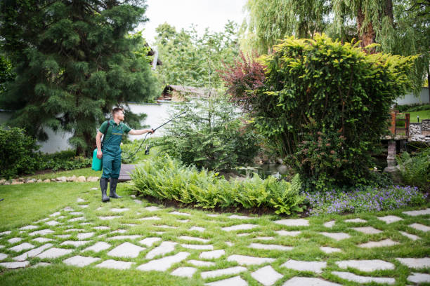 Best Mosquito Control Services  in Churubusco, IN