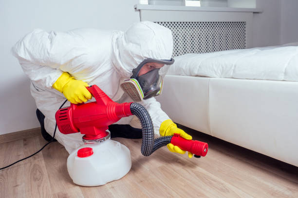 Best Emergency Pest Control  in Churubusco, IN