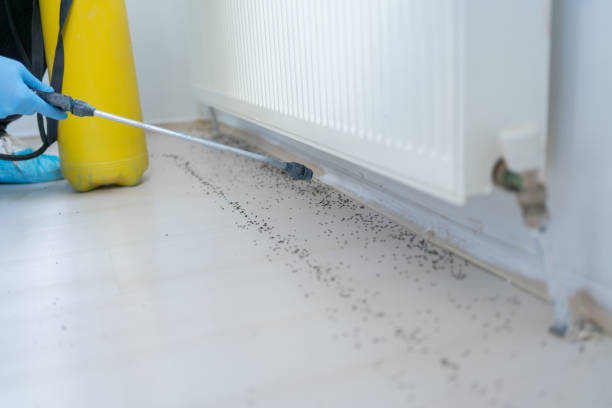 Best Exterminator Services  in Churubusco, IN
